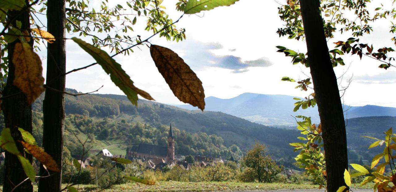 Les Gites La Cerisaie Breitenbach Exteriör bild